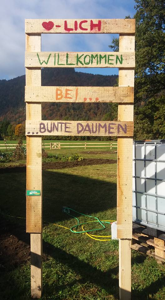 541 Bunte Daumen  (2)
